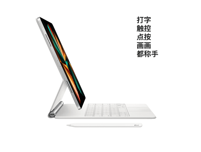 2021款全新 iPad Pro 11英寸WIFI版