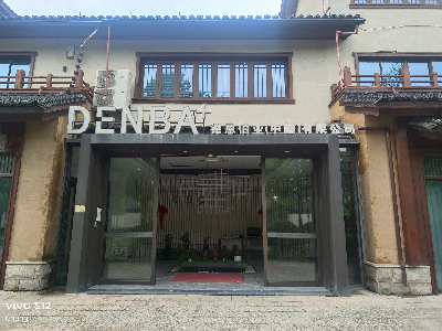 Denba Health 单极电场