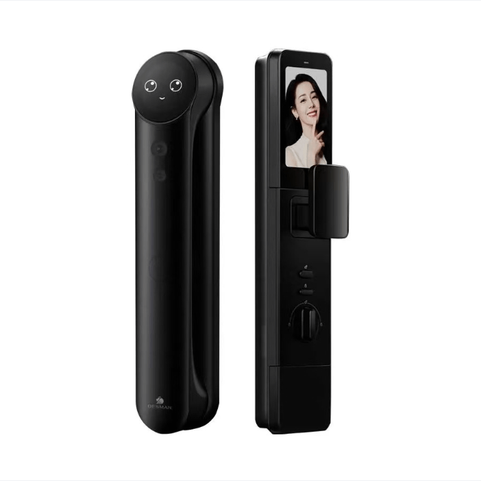 德施曼（DESMAN）智能门锁 麒麟R9 全新正品 包安装